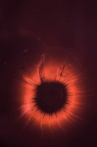 La Sombra en la Pupila – Microrrelato Interactivo